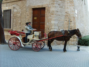 A Coach with two horses in Palma